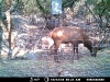 Elk - Ph 1 Lot 9