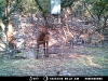 Elk Auodad - Ph 1 Lot 9