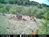 Auodad - Ph 5 Lot 1